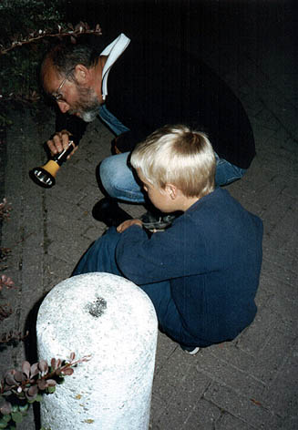 http://www.deadlymedicine.gmxhome.de/Holland.jpg
