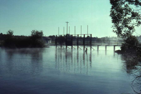 http://www.caleuche.com/River/Images/CassLakeDam.jpg