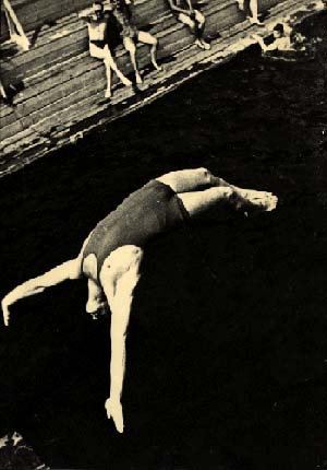http://www.schicklerart.com/euro/rodport/rod_1/gifs/25diver.jpg