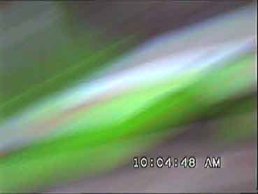 http://thomas-hey.de/Livecam/camera10.jpg
