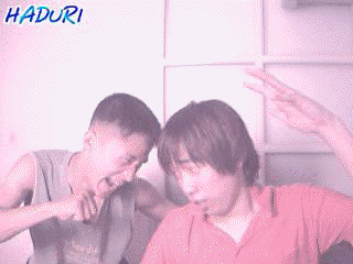 http://213.155.72.24/users/aus-satz/bilder/japanspass.gif