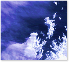 http://www.camel-7.de/ex/photo/air.gif 