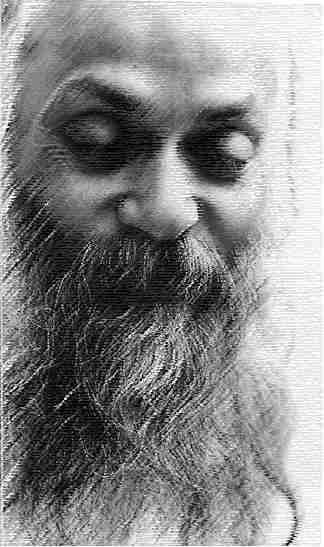 http://www.peripheral.org/media/oshopic.jpg