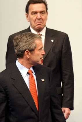 http://www.spiegel.de/img/0,1020,224930,00.jpg