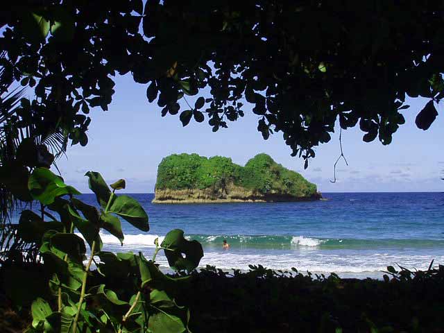http://www.freejunglepictures.com/assets/photos/leophotos/medres/coclesisland.jpg