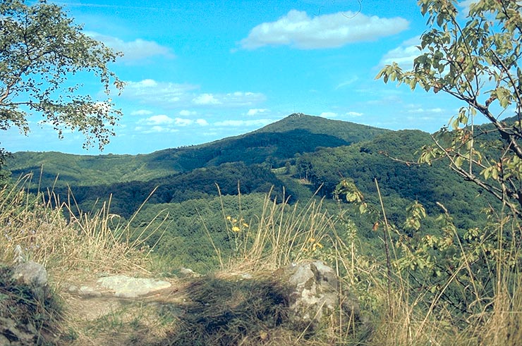 http://www.naturpark-siebengebirge.de/images/_oelberg.jpg