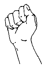 http://www.sign-lang.uni-hamburg.de/Projekte/plex/PLex/HF-Bild/D.gif