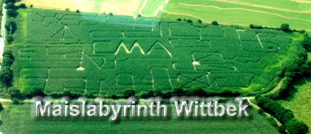 http://www.schatzsuche-event.de/maislabyrinth.jpg