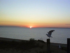 http://www.montauk-online.com/_images/pictures-
sunset_gardiners_bay.jpg